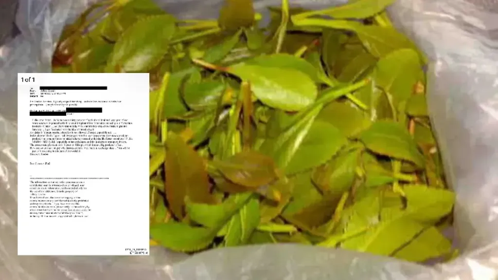 وثائق ”إبستين“ تكشف: رجل أعمال يمني اقترح تحويل ”القات“ إلى مشروب عالمي برعاية الملياردير الأمريكي